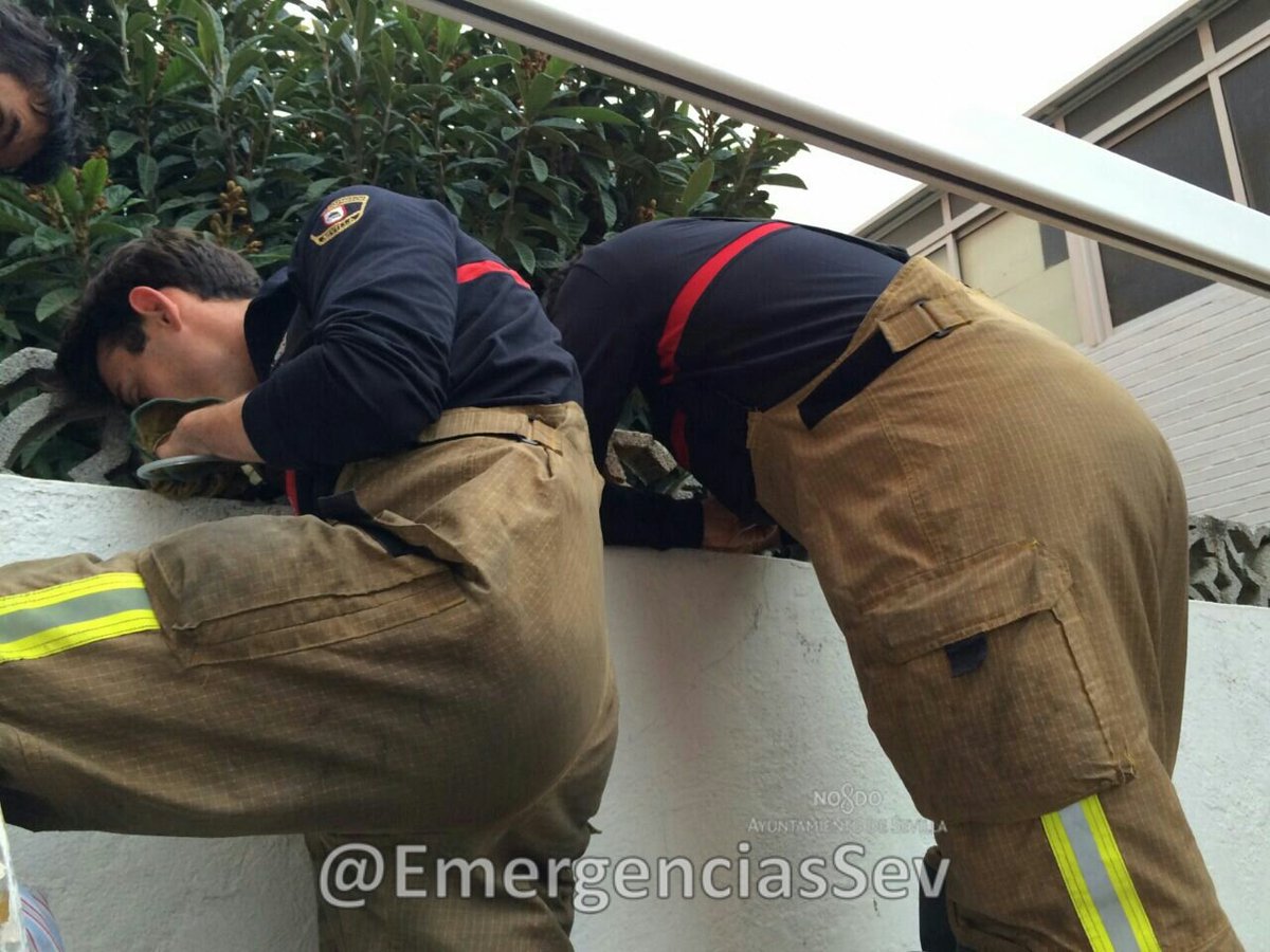 EmergenciasSev's tweet photo. #EmergenciasSev | #Bomberos rescata gato caído en un patio entre dos casas
#Sevillahoy  Este
Recupera zoosanitario https://t.co/uSR5pFmBOQ