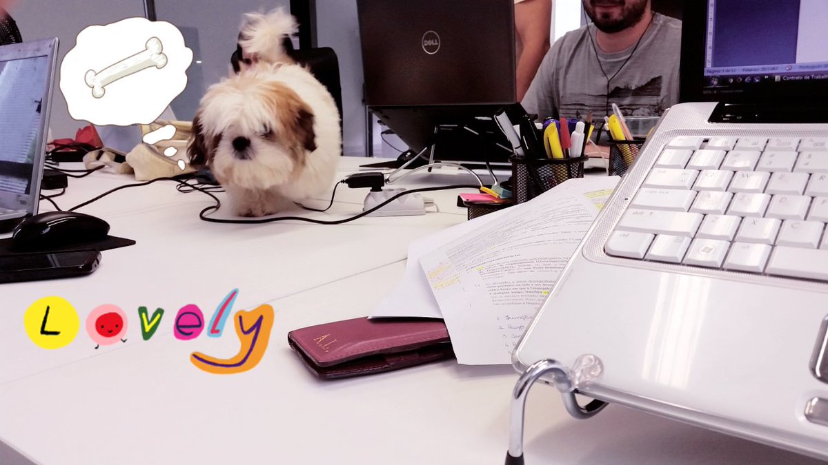 AnaLauraFonseca's tweet image. Mesa de trabalho! #Netlex #Startup