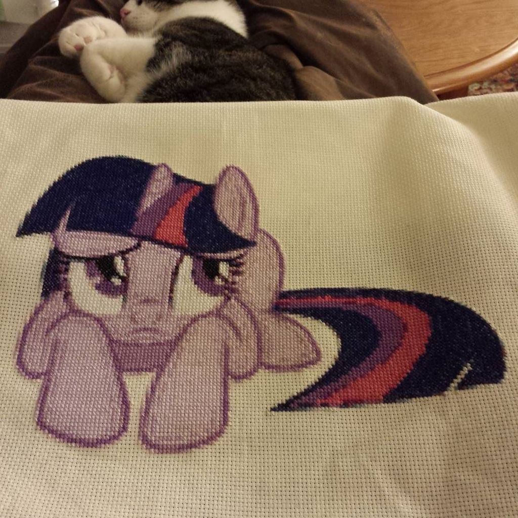 TwiFanClub's tweet image. Twilight is done! Time to put this project away for a little while.

#crafty #craftersofig #crossstitchersofig #cro…