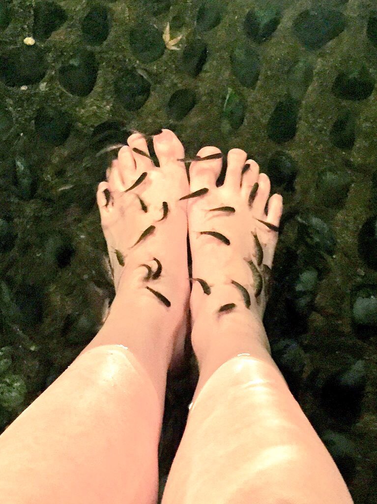 あみっけ 小清水亜美 Tren Twitter お仕事の新年会的なので温泉っぽいところへ行ってきました 人生初のお魚足湯 かゆううううううううううかった ゚d゚ T Co Culkm0by4c あみっけ 小清水亜美 Tren Twitter お仕事の新年会的なので温泉っぽいところへ行ってきました 人生初のお魚足湯 かゆううううううううううかった ゚d゚ T Co Culkm0by4c
