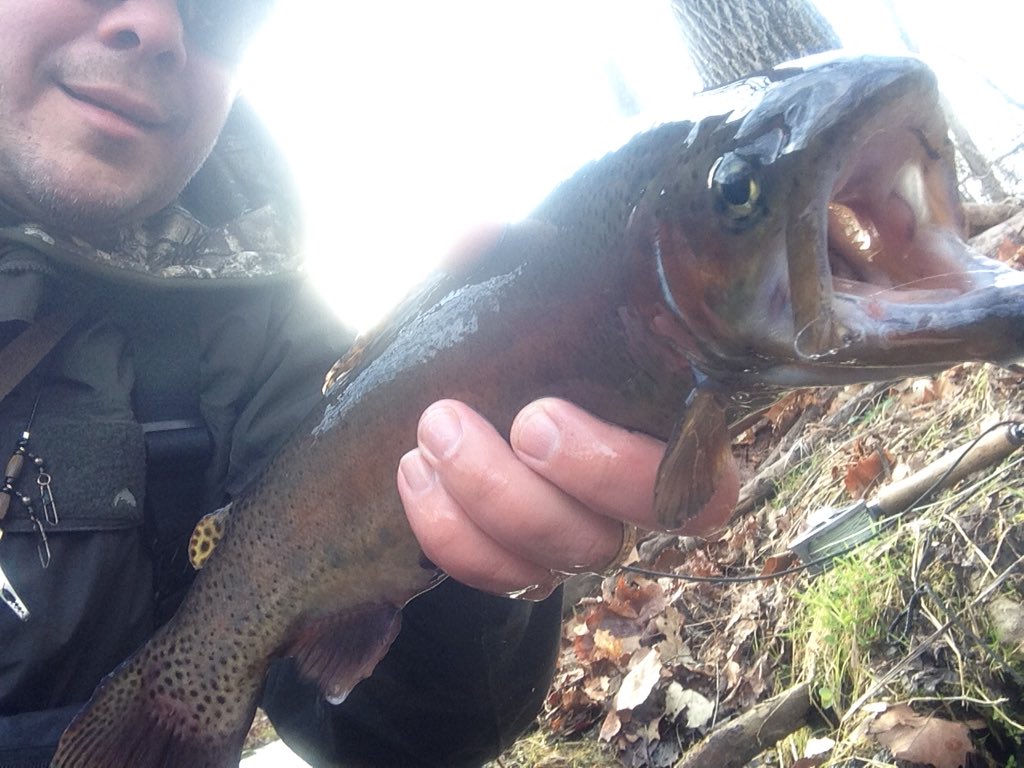 chickenchucker1's tweet photo. #rainbowselfie #flyfishnj #catchandrelease #winterflyfishing https://t.co/DVXzRedgob