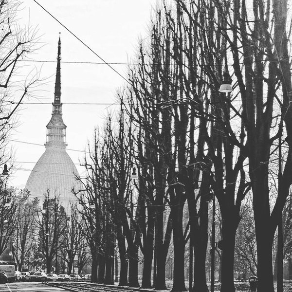 twitorino's tweet photo. #Torino raccontata per immagini dai follower di @twitorino. Foto di @storieditorino | #fotografaTO #torinodalbalcone https://t.co/9ZspFgjU1b
