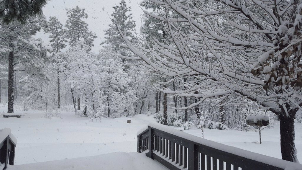 AlwaysEngaging's tweet image. GM Pinetop, Arizona.  Wishing I was stuck there with a fire.