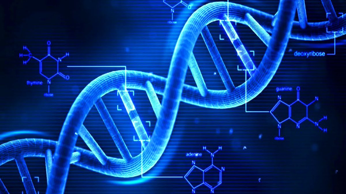 Mightychondri10's tweet photo. Did you Know that Mitochondria have DNA... NOW YOU DO! #Cellection2016E https://t.co/SYd0R4pYqi