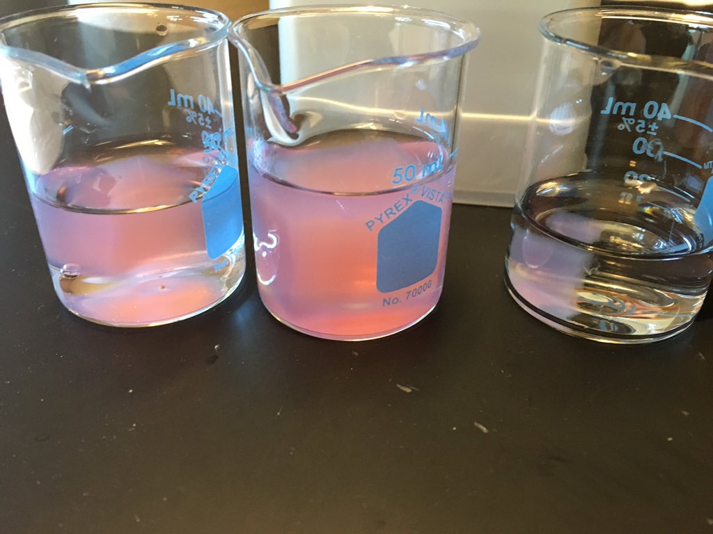 NTHSBiotech's tweet image. Fun with agar cubes, pH indicator and diffusion. #itsnotcandy