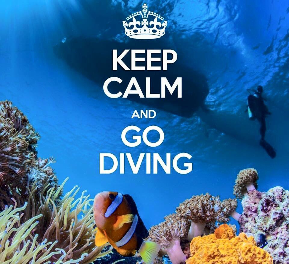 OMSDive's tweet photo. Lets all go #scubadiving with our OMS gear! #scuba #oceans #SanDiego https://t.co/pDTPNEJgsT