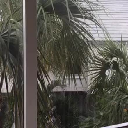 rayhigdon's tweet photo. |REPLAY| Free Coaching Friday! Prizes, Promotion and Possibilities! Htt... #katch #Periscope https://t.co/L0BQ61JWu0 https://t.co/Oj01J5TNg2