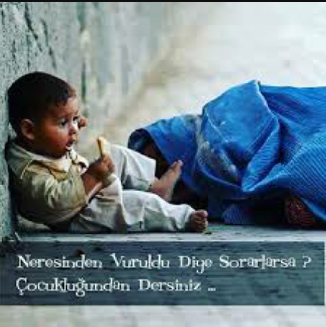 Meryem 🇹🇷🇵🇸🇹🇷🇵🇸🇹🇷🇵🇸 tweet media