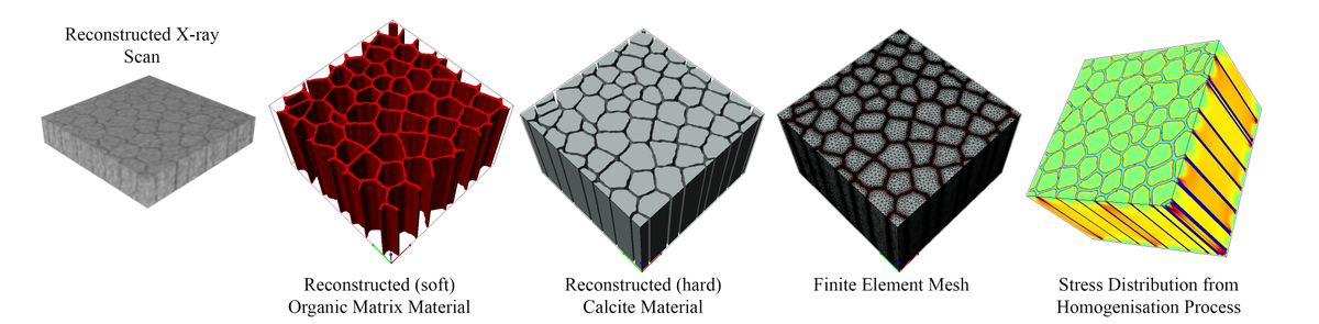 dpcfea's tweet photo. Homogenisation of multi-phase material properties using @SimplewareLtd software #simple #fast #simulationfriday https://t.co/p1iPyCWGNW