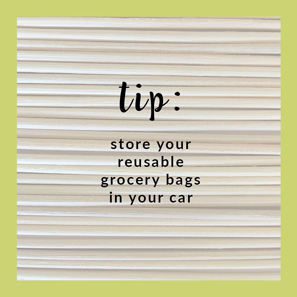 AloraAmbiance's tweet photo. Here's to continuing our #greenliving habits in 2016! One easy way to live green is to kee… https://t.co/ucMeQAvYkW https://t.co/oqBmmWjMUt