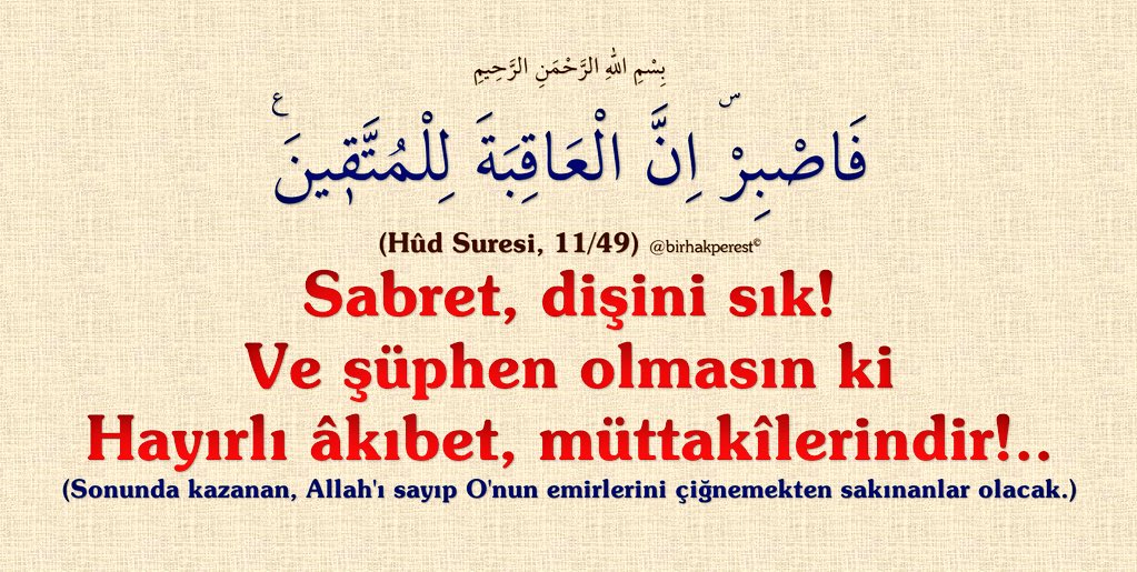 Mast ayolni katta xorozlar sikishdi