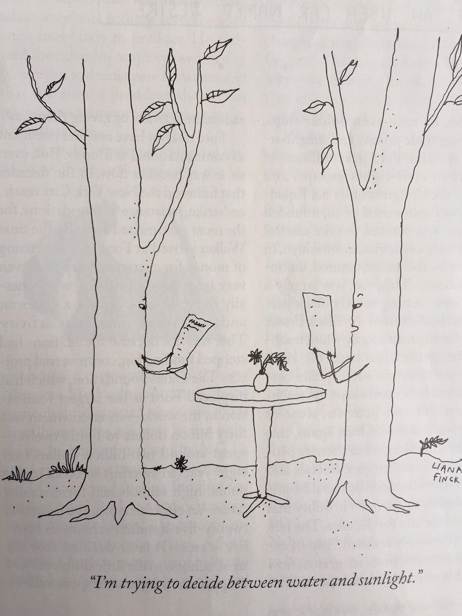rethinktrees's tweet image. Trees don't need much to flourish, do they? #treespeak #treejoke #forestryjoke