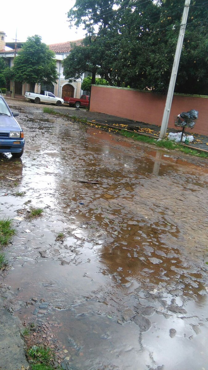 gusangi's tweet photo. Viste k no hay pues #chikungunya #dengue ni #zika, MGusinky x ser senaRata puede tirar todo lo q kiere a la klle https://t.co/mesECX0b9S