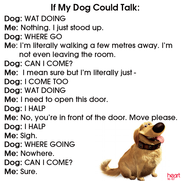 heartkentradio's tweet photo. Taking the dog out this weekend? https://t.co/gvCAAl9Pok