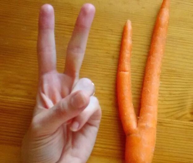 UglyFruitAndVeg's tweet photo. ICYMI - My friend @zerowasteguy1 is all about the peace out carrot! And zero waste... #VeggieOut! βοΈ https://t.co/MpETtwUzaZ