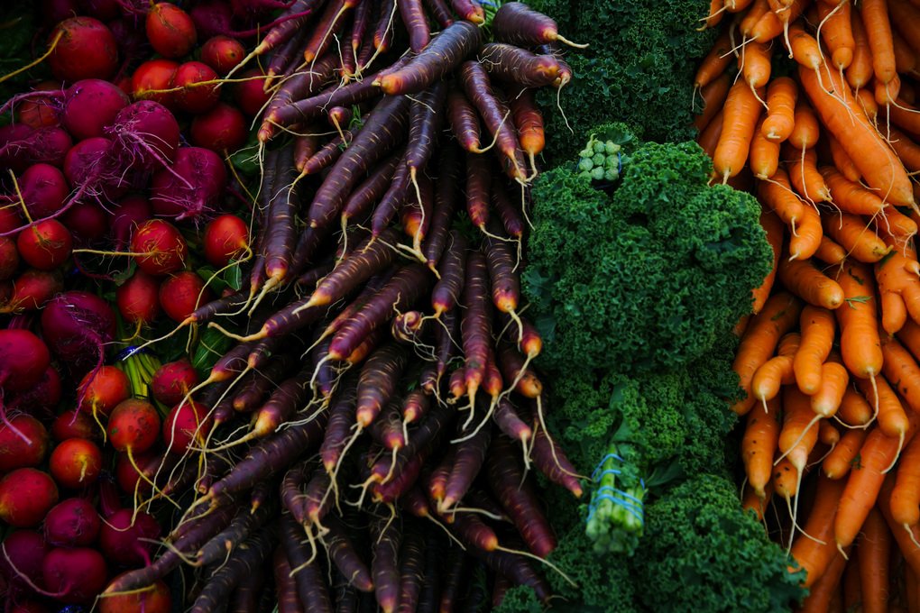HDietPlans's tweet photo. #Vegan, #Paleo, #lowfat — they all have something in common you want to know how? Visit https://t.co/Wi0ki4Cdtg. https://t.co/XKewtXRk3W