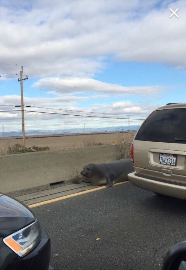 Morning everyone! Currently stuck in some nasty ass traffic.