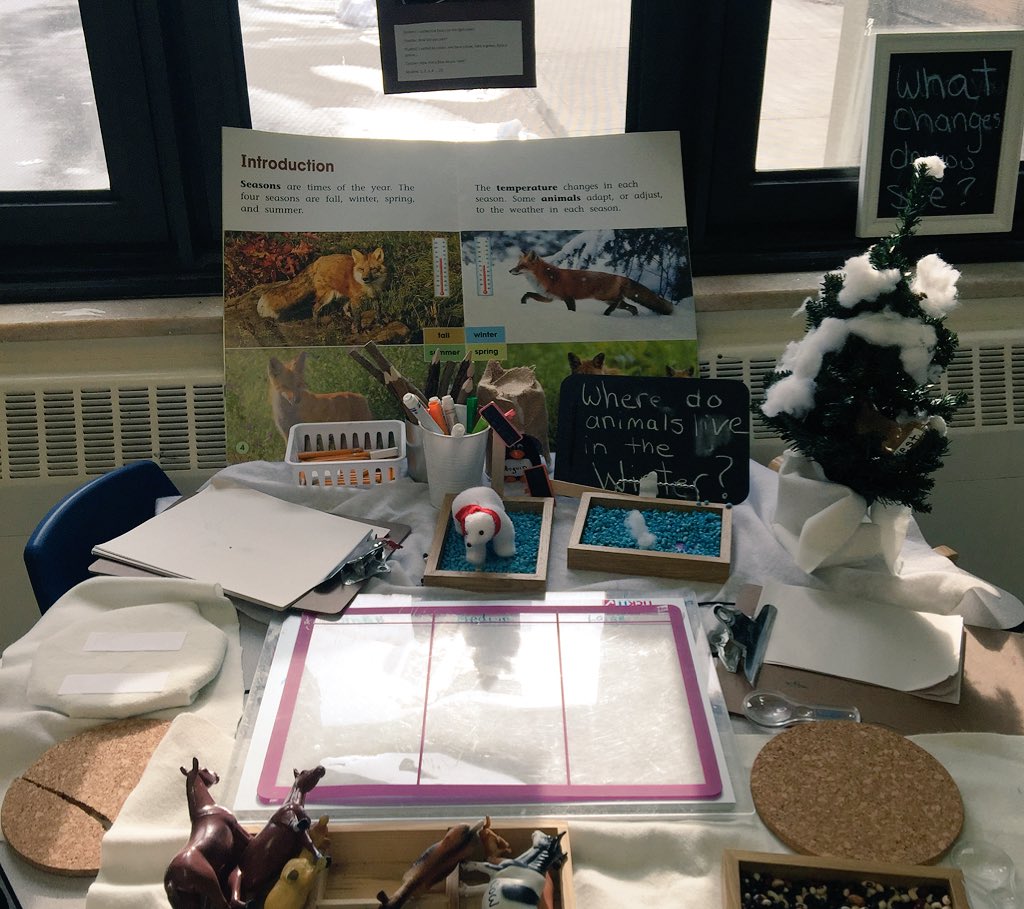 adoretoexplore's tweet photo. Co creating animal habitats from our nature walk! #habitatinquiry #Authenticlearning @RitaGallippi  @GerriGershon https://t.co/IsQXDbAv0c