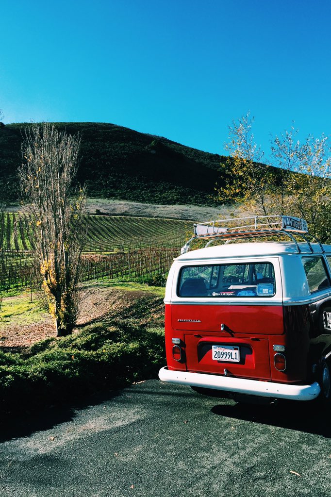 Vantigosf's tweet photo. Nice to see things really start to get green in Wine Country @schugwinery ! #vanlife #vantigo #vwbus #kombi #combi https://t.co/ksszdhVdev