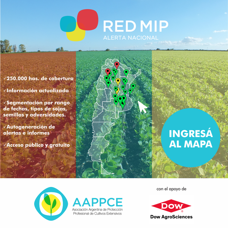 AAPPCE's tweet photo. Conocé el estado de adveridades de cultivos de #soja con el mapa de #RedMIP de #AAPPCE   ► https://t.co/hPgG3YpZnr https://t.co/OGsRvjntyh