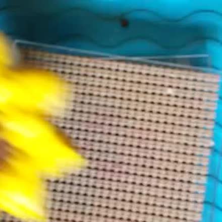 cookiestosayit's tweet photo. |REPLAY| decorating my favorite flower #BAD #snow #katch #Periscope https://t.co/xP1AH7aEzp https://t.co/6JBCikcF9W