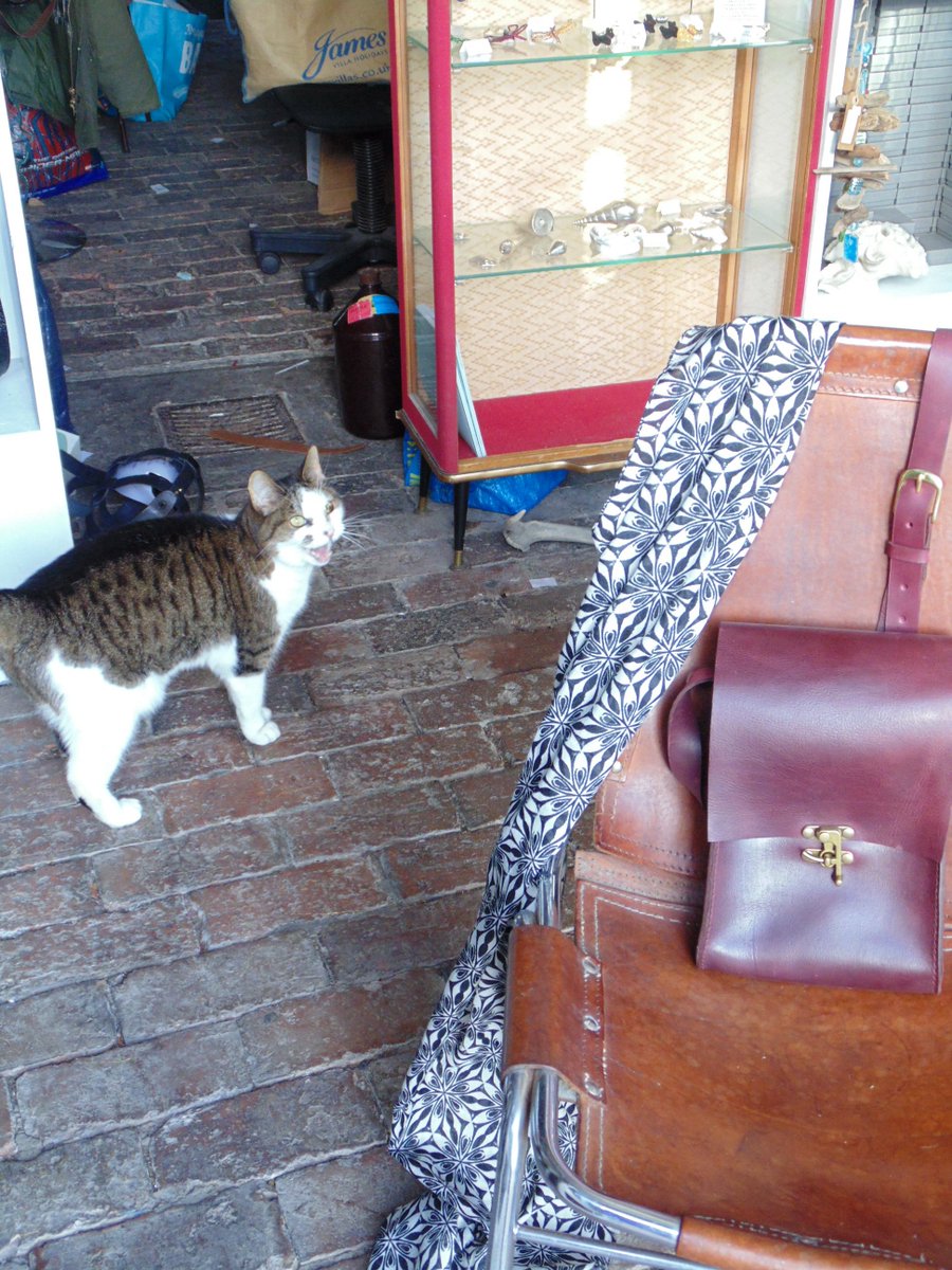 No Colin! I'm photographing the bag not you!!! #cat #leather #bags #Lewes @LewesStT