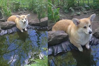 TW Pornstars - PORCHA SINS. The most retweeted pictures and videos for