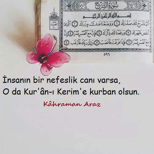 ~ebrar~sultan (@sultaneyy61) on Twitter photo 