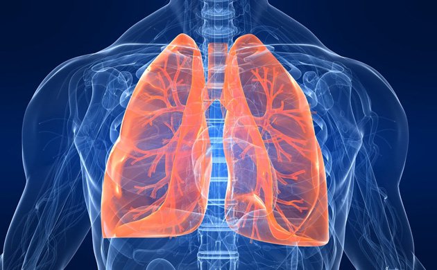 RegioniAmbiente's tweet photo. https://t.co/obBguVkvo3 Quando respiravamo meglio #emissioni #emissions #malattierespiratorie #ComunePisa @CNRDTA https://t.co/QlW4UCCux3