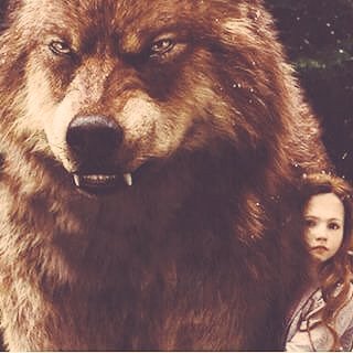 Hey it's me Nessie how are you? Today I was hanging out with my Jake <a href="/PCanineBackUp/">Jacob Black</a> I love him so so so much ❤️❤️