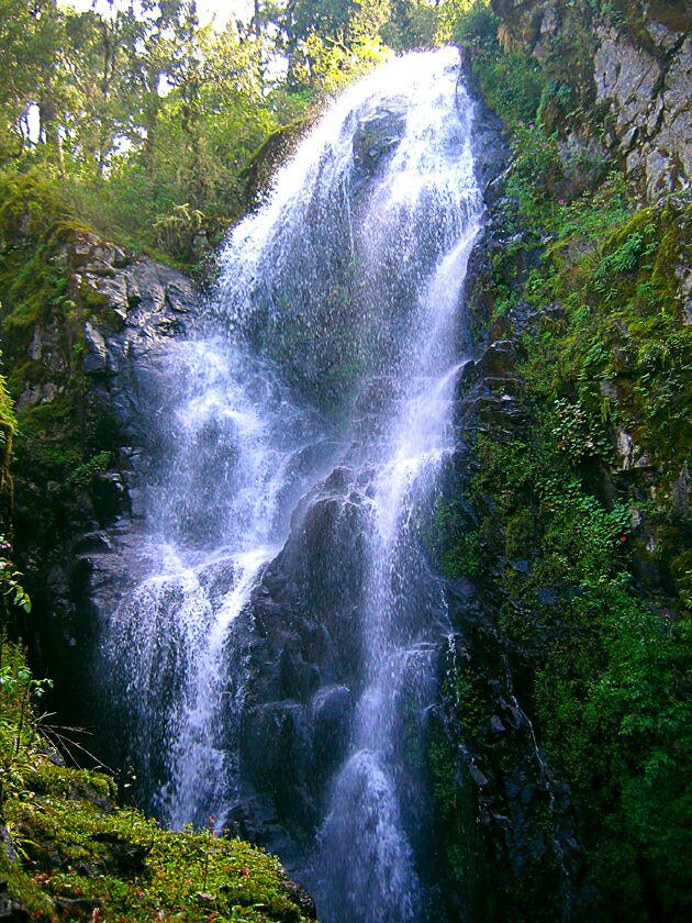 La cascada de la Reserva de la Biosfera Sierra de Manantlán es parte de nuestras áreas protegidas #JaliscoAlNatural