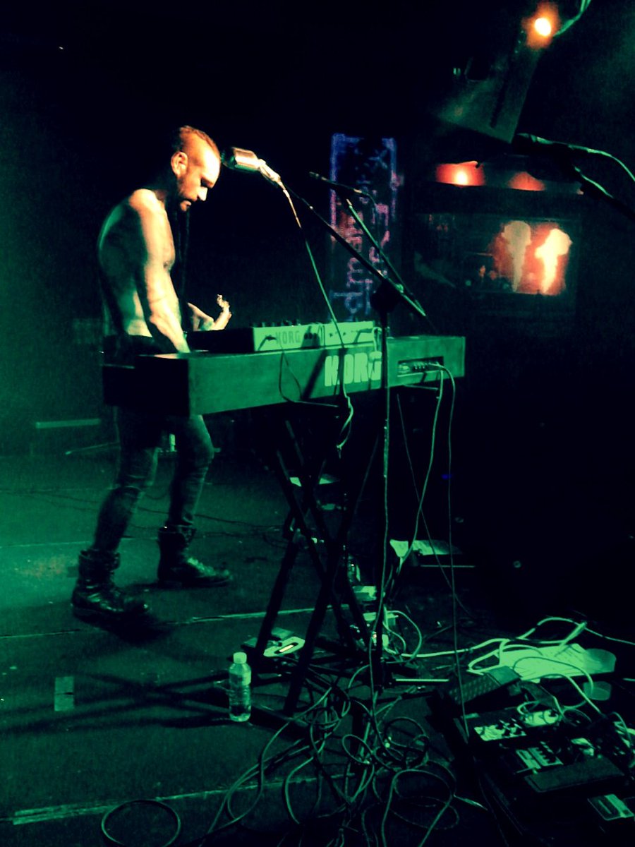 Lobo Estepario tweet media