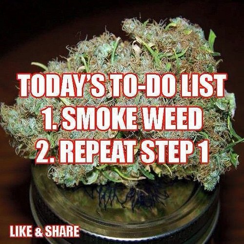 Anyone else having one of these days #lol #weed #cannabiscommunity #cannabis #marijuana