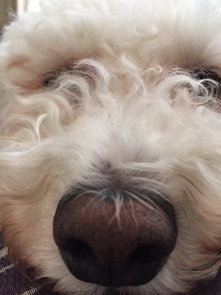 ddrumms's tweet image. 