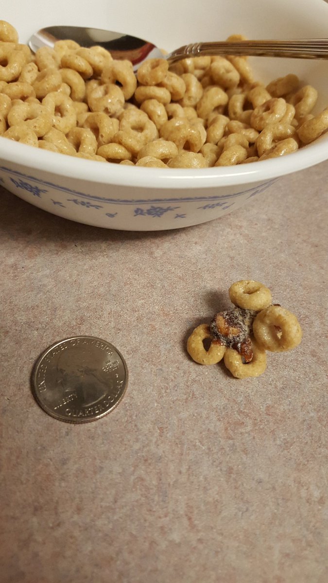 CatieABrown's tweet photo. Giant honey (hopefully) clump in my honey nut cheerios... @cheerios #freehoneynutcheeriosforlife ? #stilllovethem https://t.co/h2DQfsuIRq