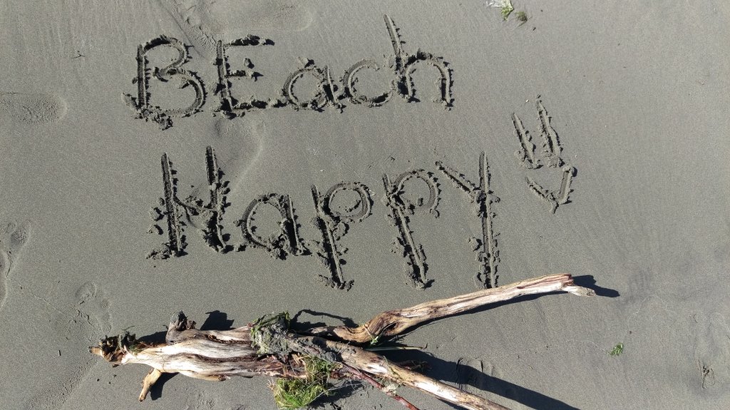 NbSweetfeet's tweet photo. Something about beach life....#beachlifeisgood https://t.co/EMb6vgkMZJ
