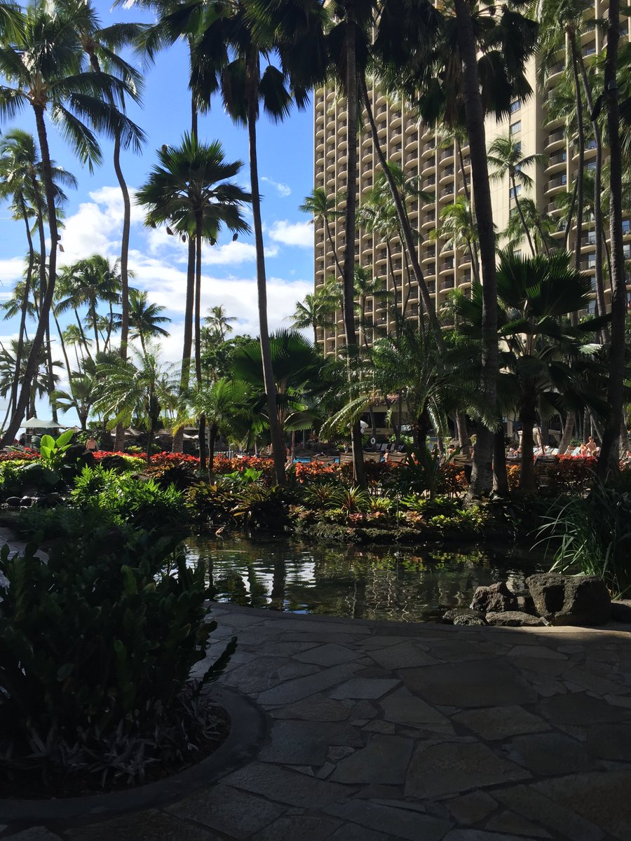 The beautiful Hilton in Waikiki  atravellingteen.com/?p=421 <a href="/HiltonHotels/">Hilton Hotels</a> @HiltonWorldwide #sharemyhiltonpic