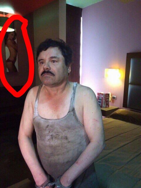 ReporTorres's tweet photo. La gaviota, detrás de la captura del Chapo... https://t.co/Jnb0xMU06Q