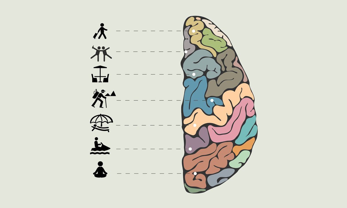 hildammansob's tweet photo. LEAN RT "@psicopedia: ¿Por qué tu cerebro necesita vacaciones? #psi_ https://t.co/wU5IQLqmcL https://t.co/5fMicYTWsn"