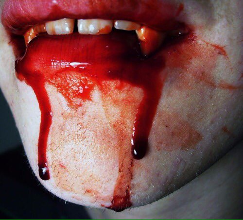 WikiColmillos's tweet image. Mmmm...