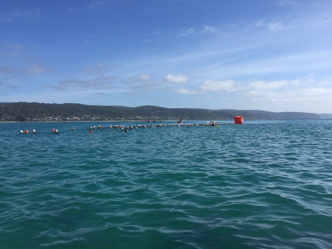 PierToPub's tweet photo. The Lorne 5000 is off and racing! #lorneslsc #lorne5000 @GMHBA https://t.co/LuHAEQsu6m