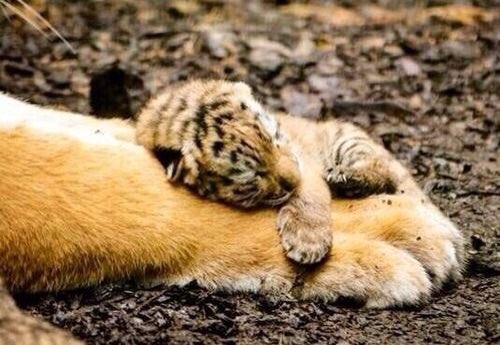 Wherever you are, and whatever you do, be in love.

― Rumi