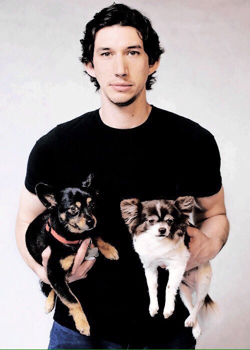strwarscast's tweet photo. Adam Driver and some puppies. https://t.co/DZBQAGOUfN