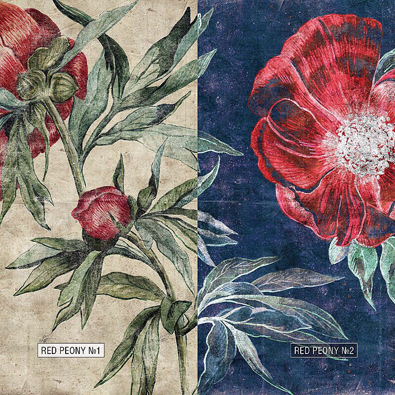 Adams_on's tweet image. Немного о работе.🚀 New wallpaper. Сделали с @appinorio новые обои Red peony для @factura_wallpaper.