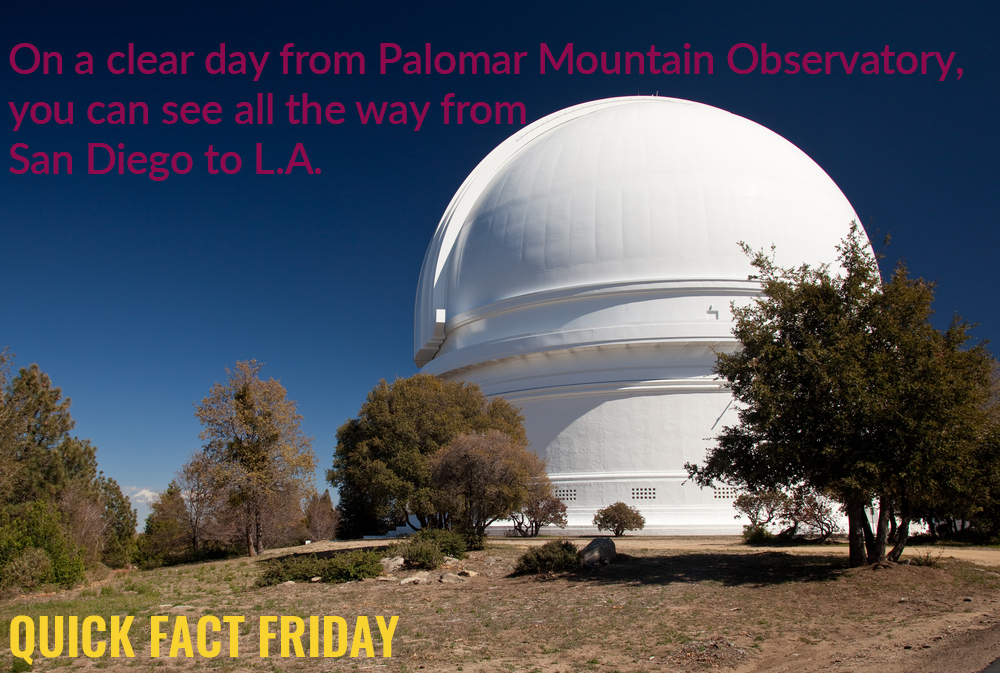 NuvisionFCU's tweet image. #QuickFactFriday