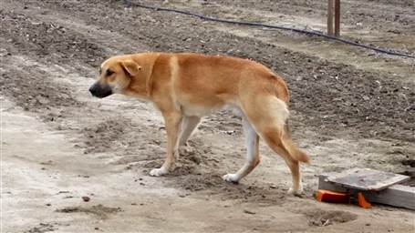 Embedded image permalink