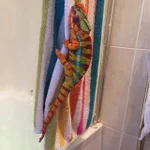 カラフルなタオルになろうとするカメレオン!