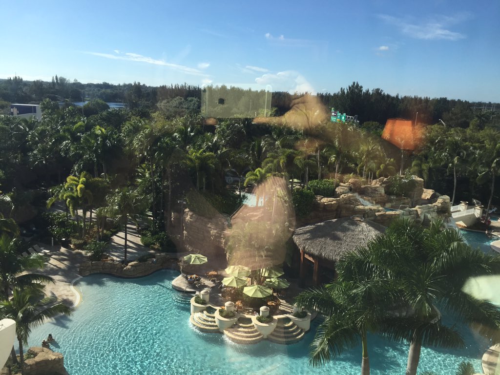 _CocoBlanco_'s tweet photo. My view Tho!!🌴🌴🌴#Miami https://t.co/3es5jBabHe
