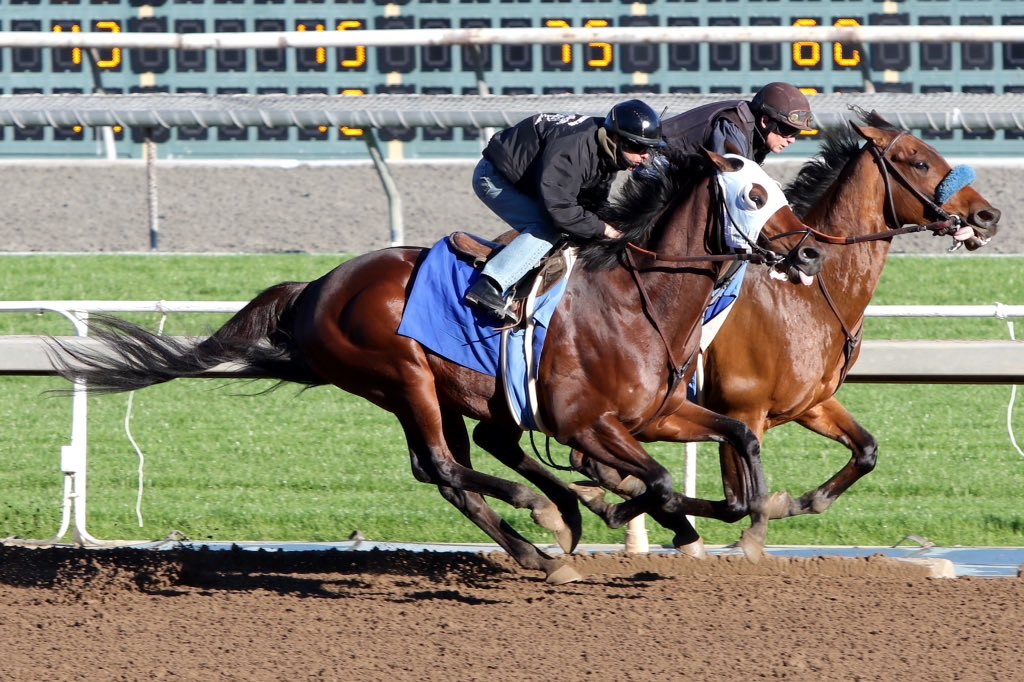 timyakteen's tweet photo. Action Hero and Big Discovery worked this morning at @santaanitapark. #All8Up #Whoosh https://t.co/TTEJ5QhHGL