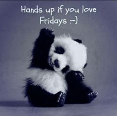 expressplumb tweet picture